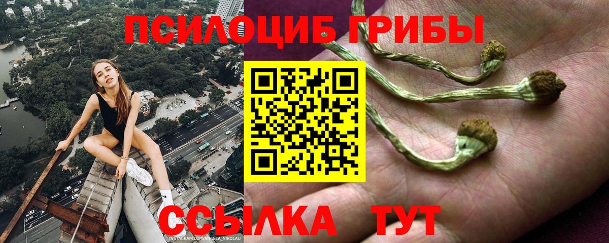 Галлюциногенные грибы прущие грибы  Псилоцибиновые грибы Psilocybine cubensis  Вход с VPN  Озёрск 